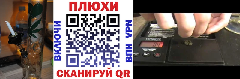 хочу Зуевка ГАШ VHQ
