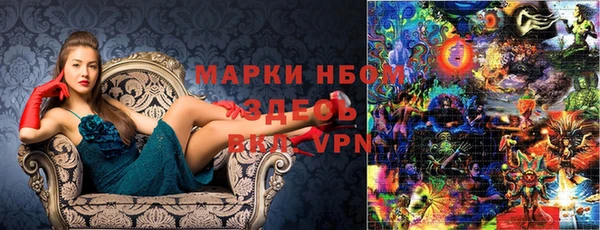 прущие грибы Протвино
