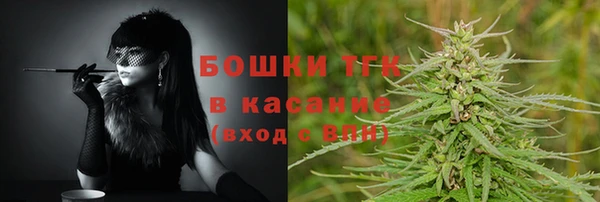 соль ск Алексин