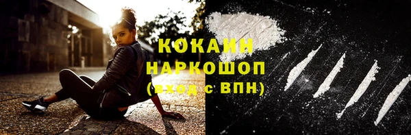 соль ск Алексин