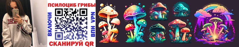 Псилоцибиновые грибы Psilocybine cubensis хочу Зуевка